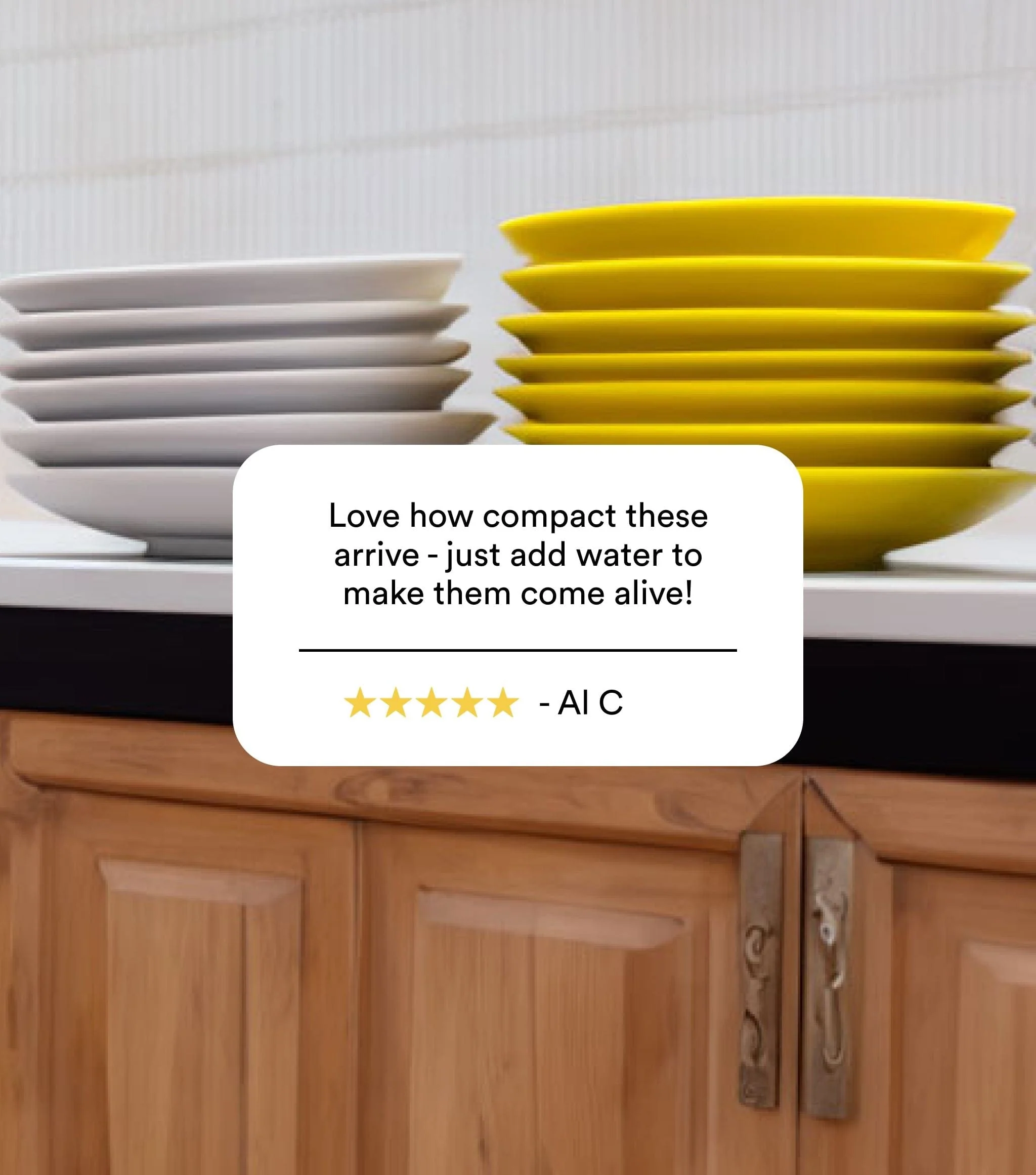 Dish Sponges 6pk - Image 4
