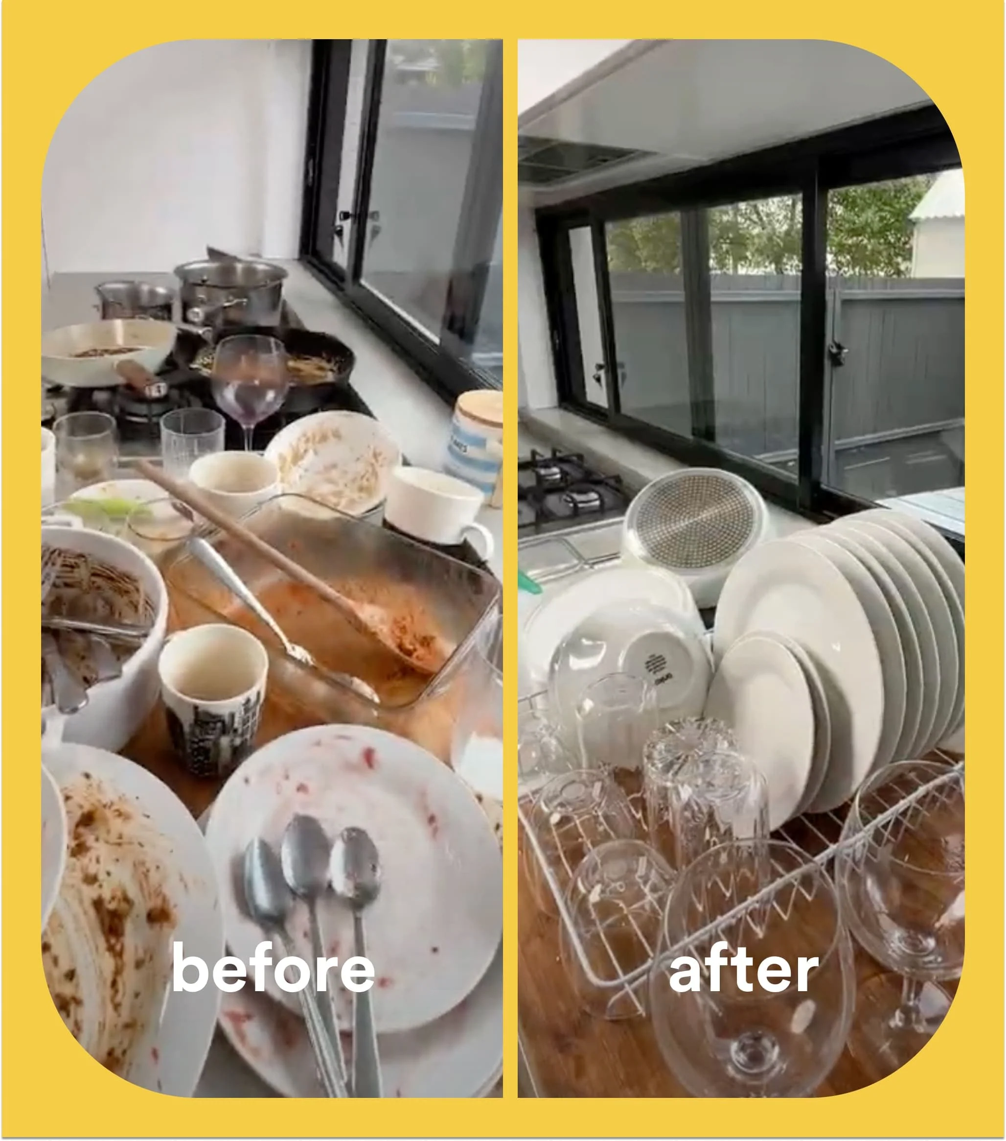 Dish Starter Kit - Image 11