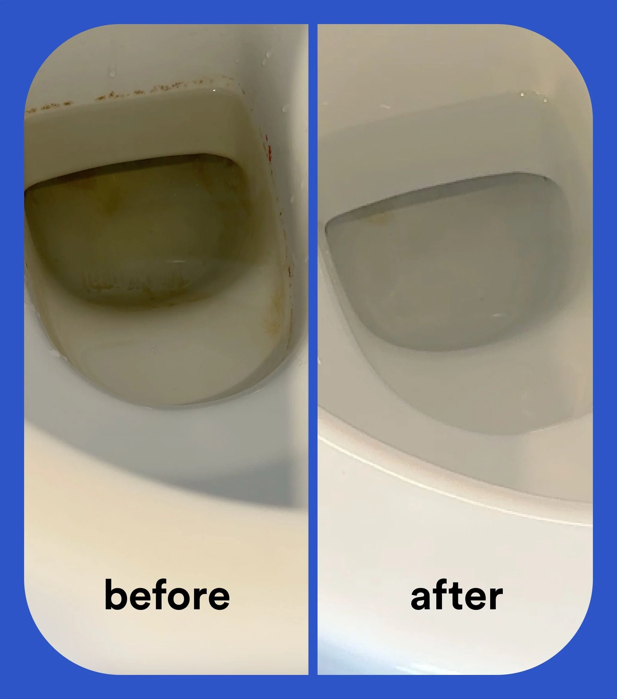 Loo Starter Kit - Image 4